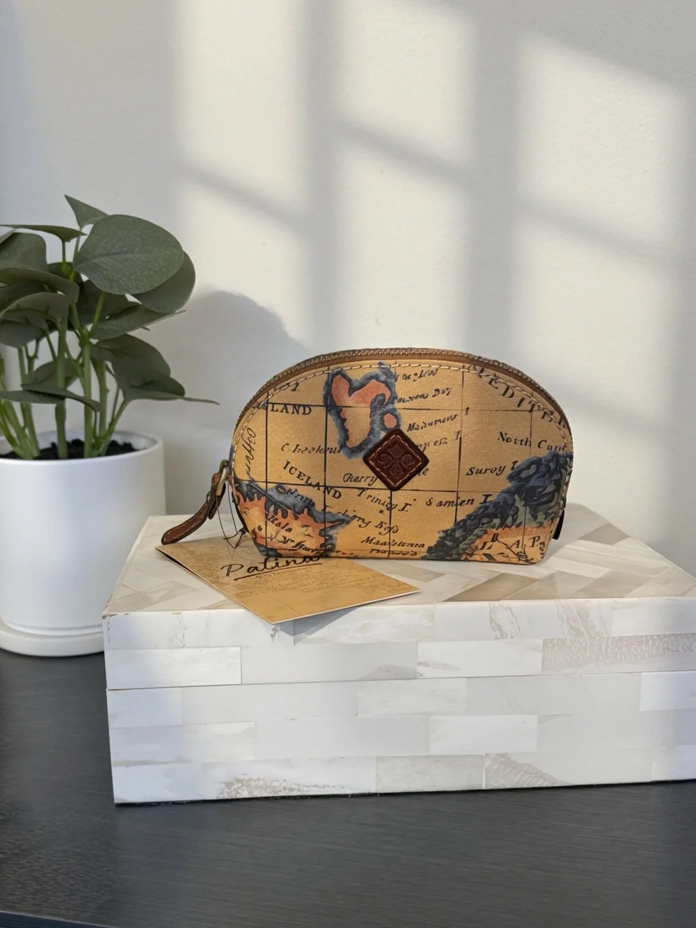 NWT Patricia Nash Patina Mini Cosmetic Case- European Map Print